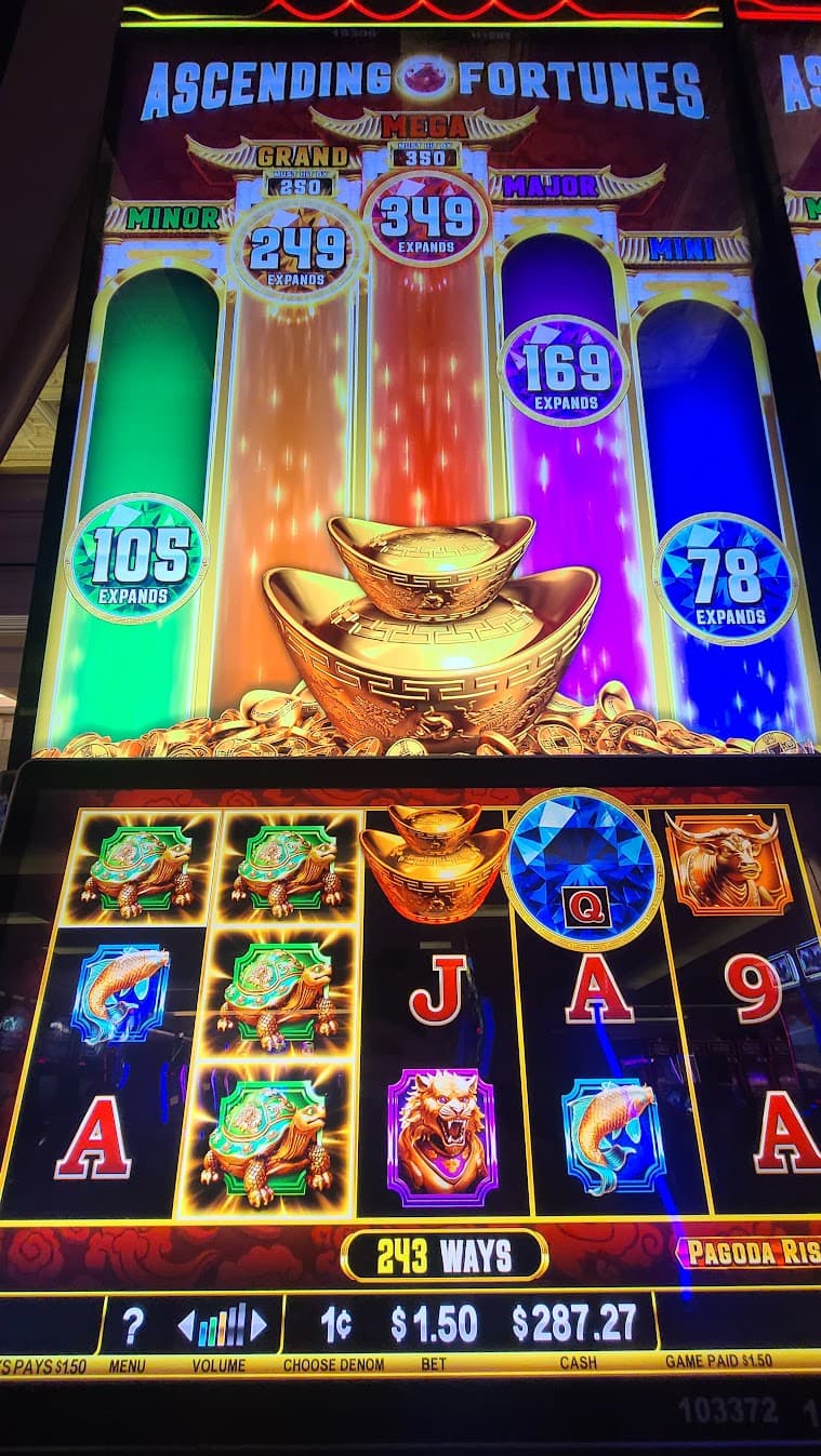 Ascending Fortunes